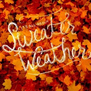 Sweater Weather L/XL  FIVE ITEM mystery box